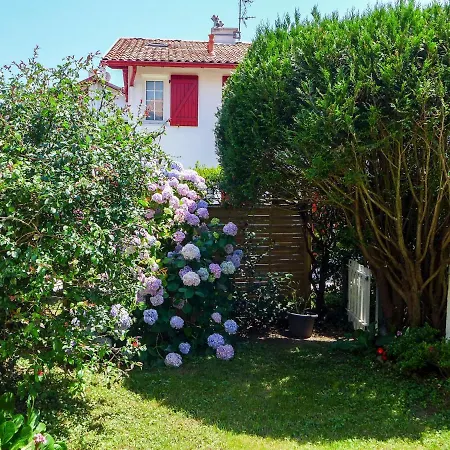 Apartament Le Fronton-1 By Interhome