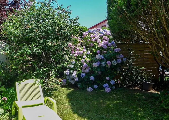 Le Fronton-1 By Interhome Appartement *