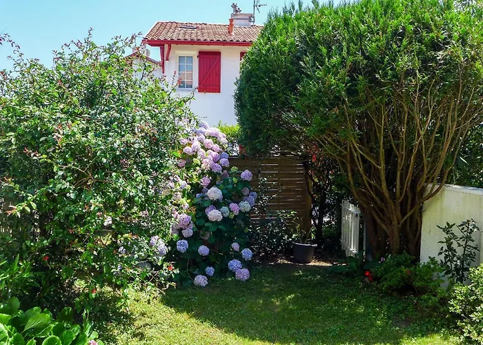 Lejlighed Le Fronton-1 By Interhome